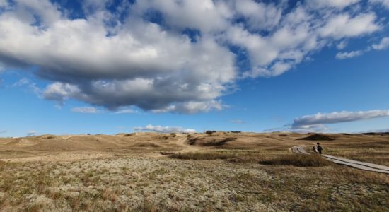 mirusios-kopos-pazintinis-takas Nagel Naturschutzgebiet Bildungsweg